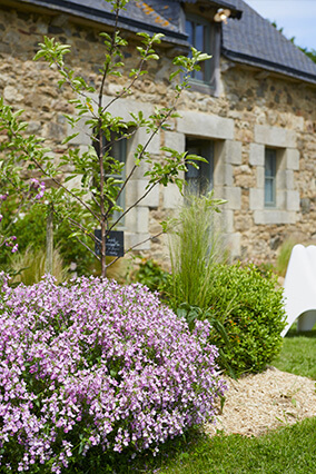 Gîte Rose pour séjour romantique en Bretagne